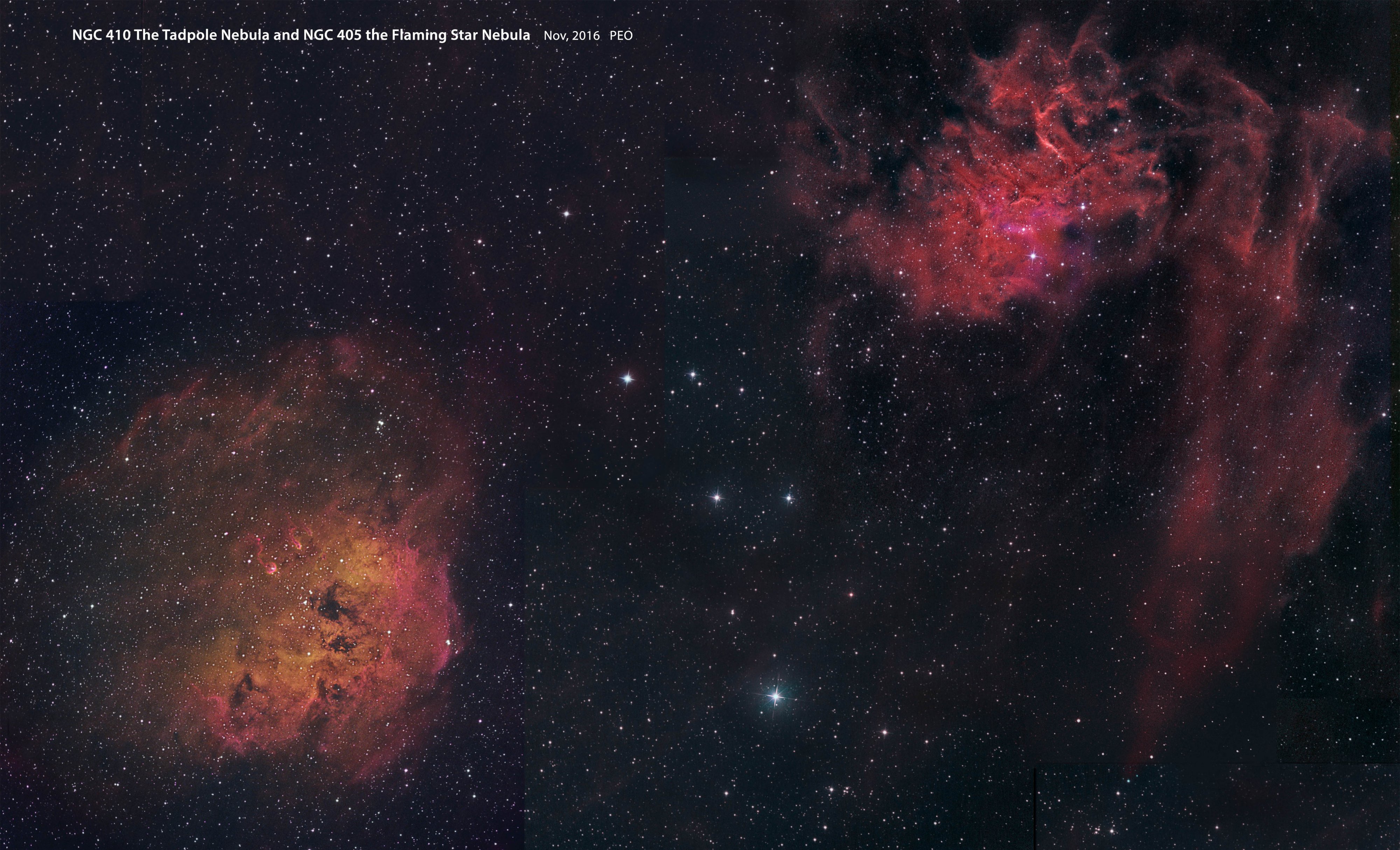 Tadpole and Flaming Star Nebulae